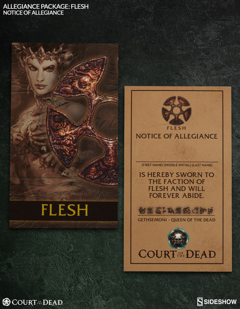 10000-allegiance-package-flesh-1.jpg