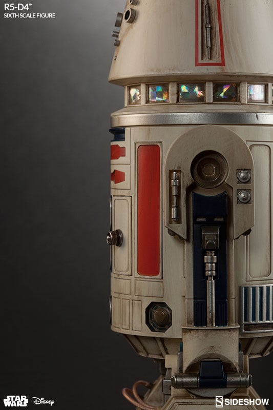 10204-r5-d4-1.jpg