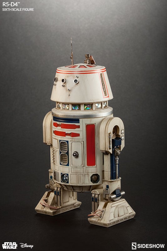 10204-r5-d4-1.jpg