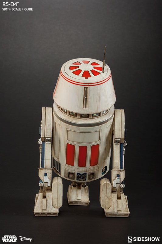 10204-r5-d4-1.jpg