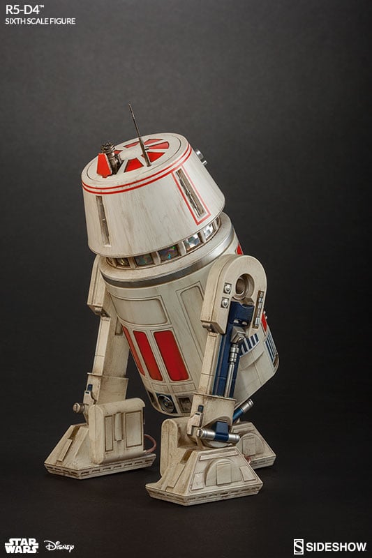 10204-r5-d4-1.jpg