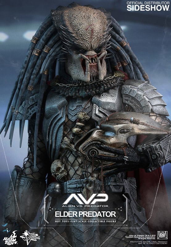 10360-elder-predator-1.jpg