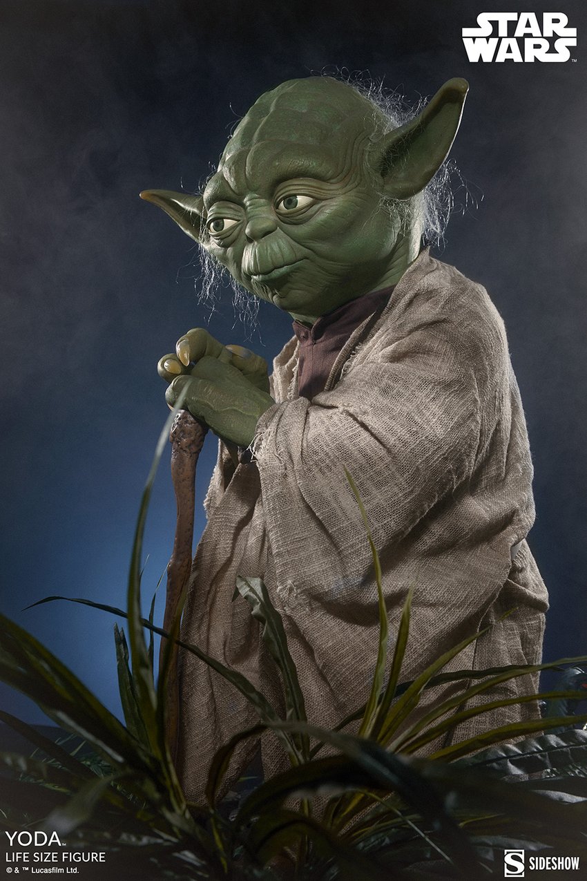 Yoda 1 10453-yoda-1.jpg