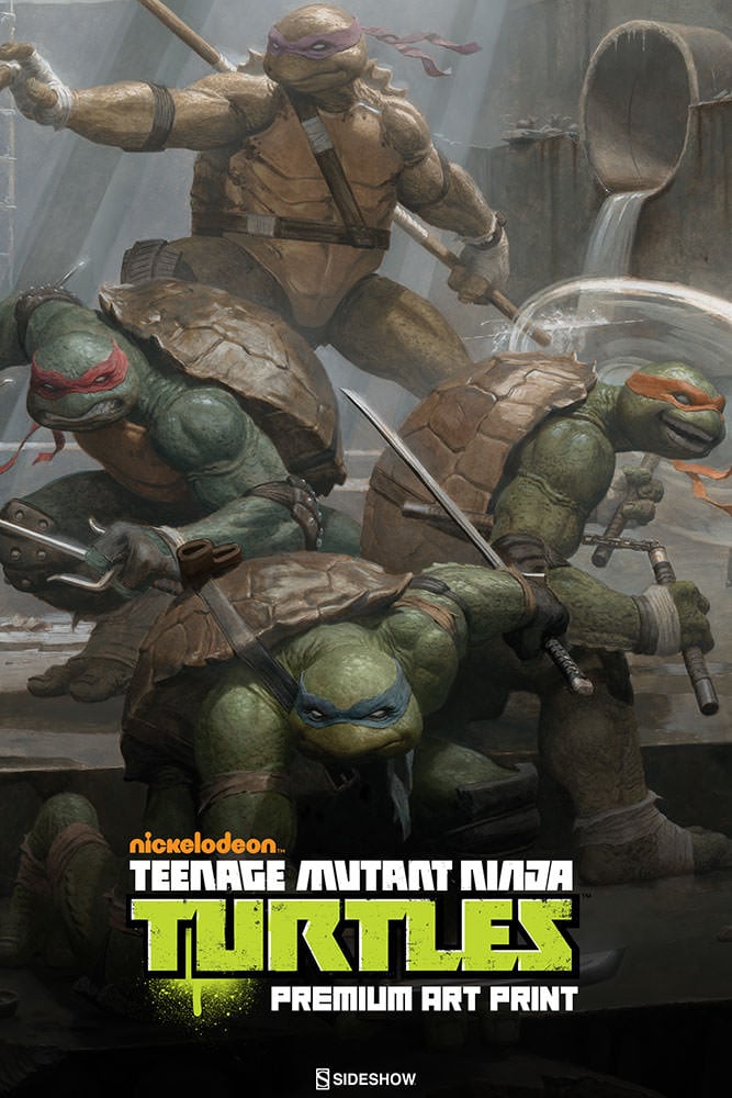 10559-teenage-mutant-ninja-turtles-4.jpg