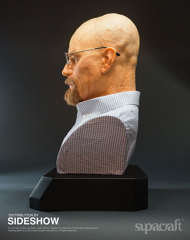 10573-walter-white-1.jpg
