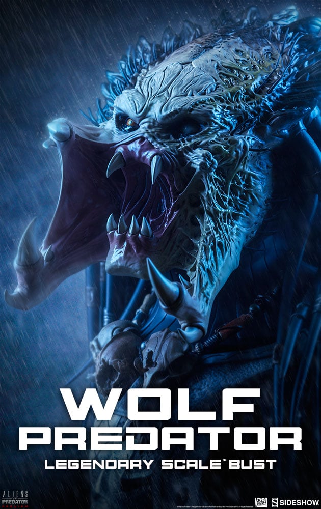 10623-wolf-predator-1.jpg