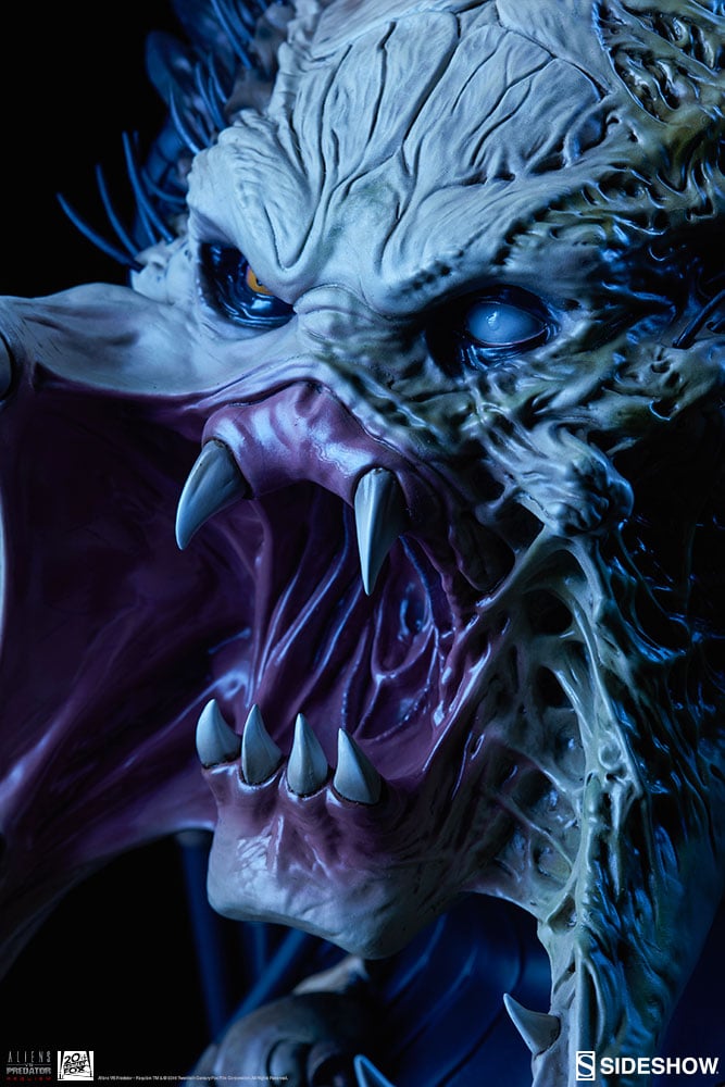10623-wolf-predator-1.jpg
