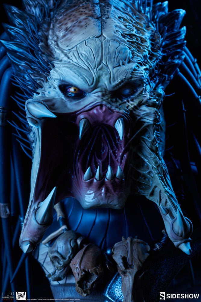 10623-wolf-predator-1.jpg
