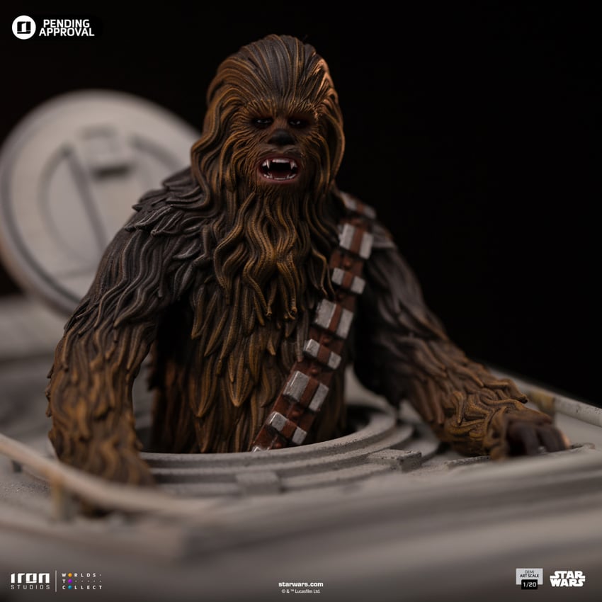 1070-at-st-and-chewbacca-1.jpg
