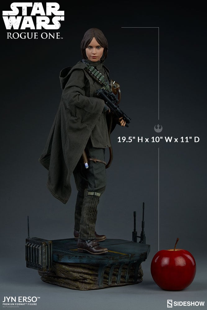 10763-jyn-erso-8.jpg