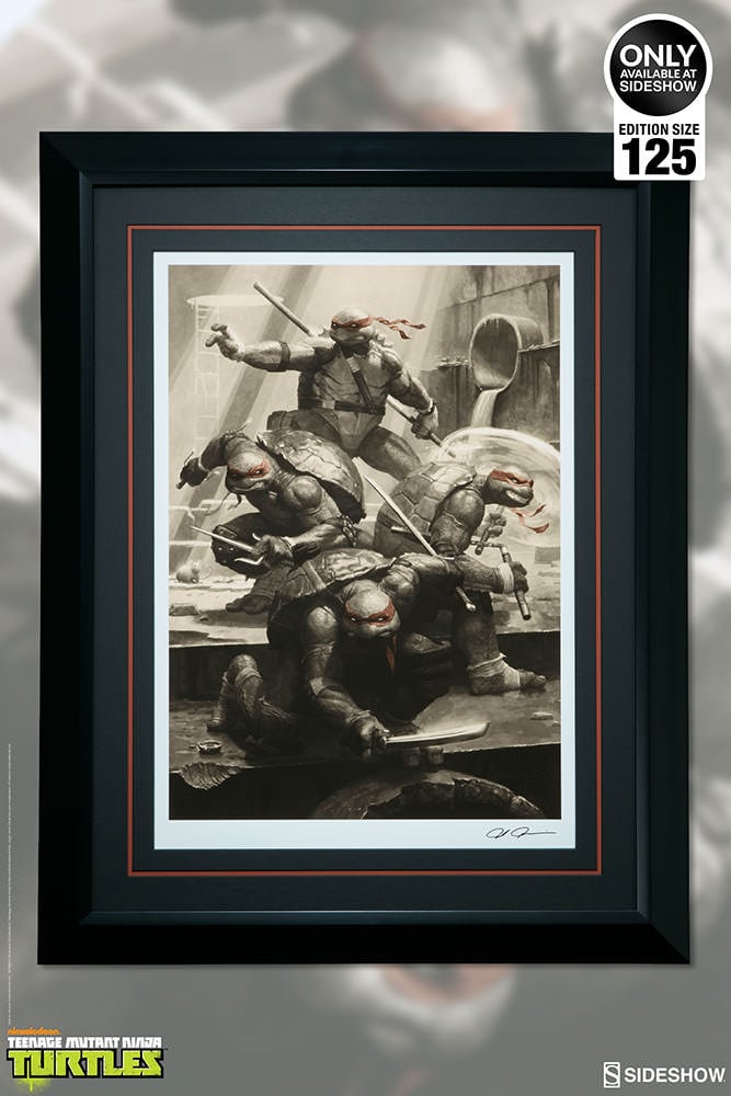 Teenage Mutant Ninja Turtles Classic Variant