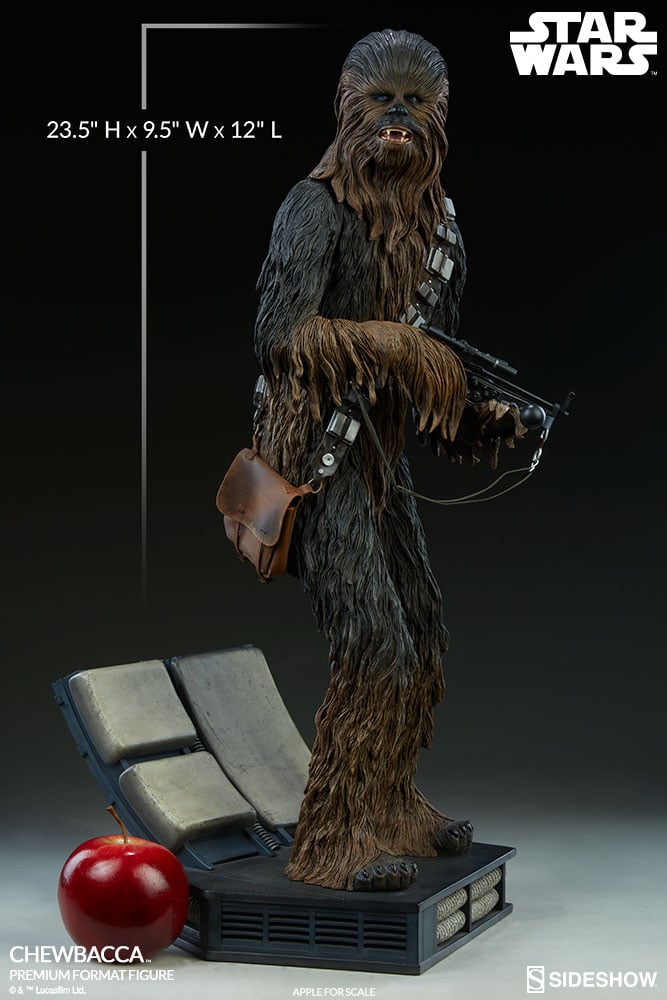10872-chewbacca-1.jpg