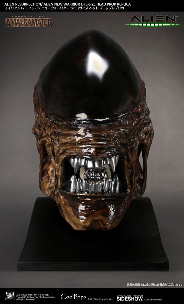 Alien New Warrior Life-Size Head 1 11015-alien-new-warrior-life-size-head-1.jpg