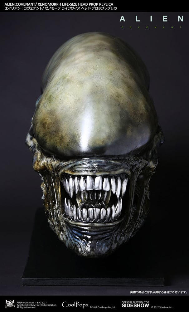 Xenomorph Life-Size Head 1 11058-xenomorph-life-size-head-1.jpg