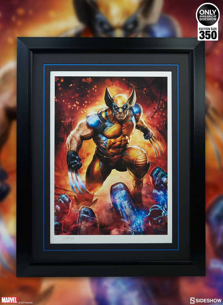 11181-wolverine-1.jpg