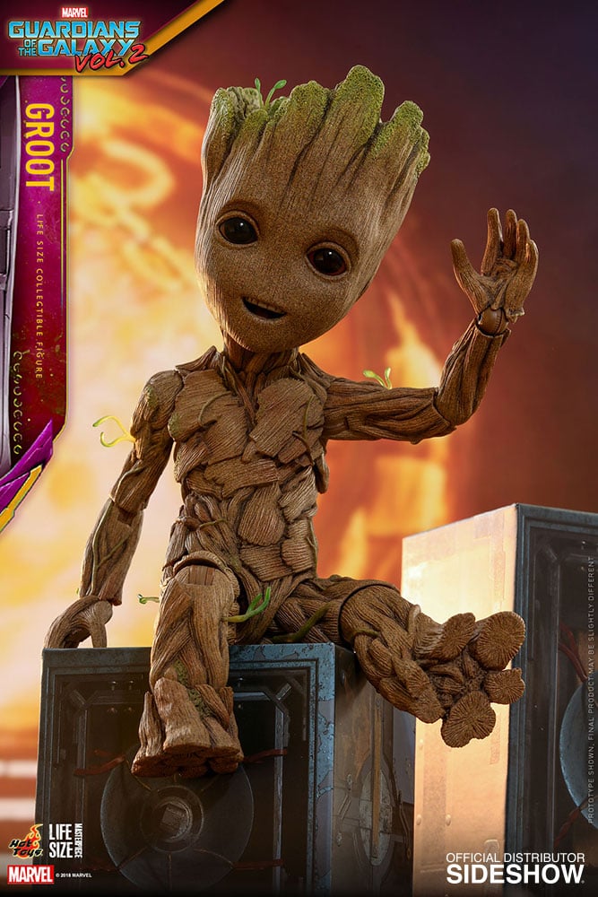 11350-groot-1.jpg