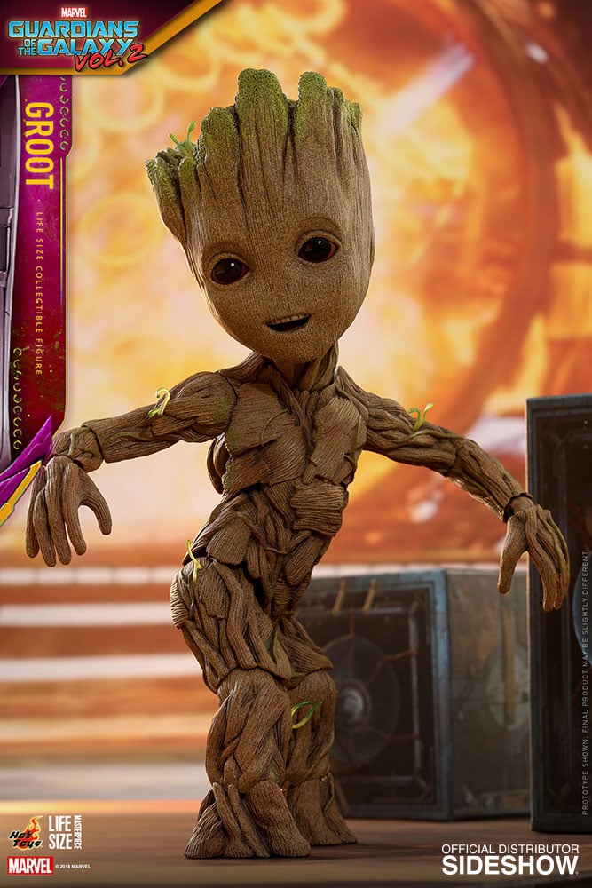 11350-groot-1.jpg