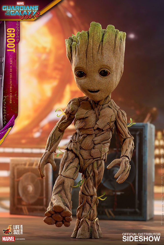 11350-groot-1.jpg