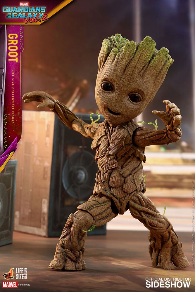 11350-groot-1.jpg