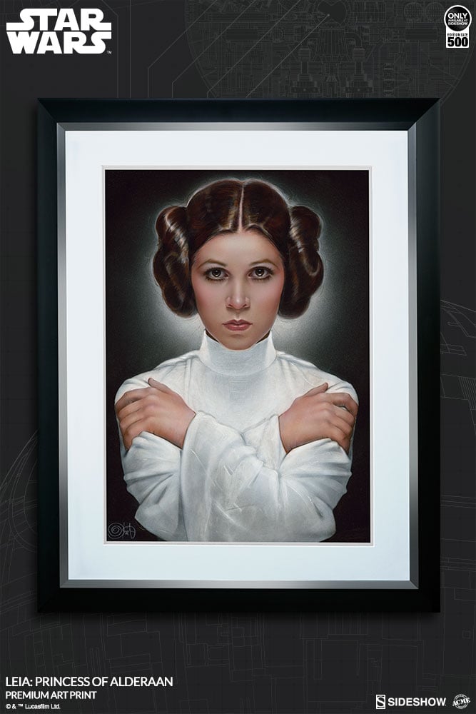 Leia Princess of Alderaan