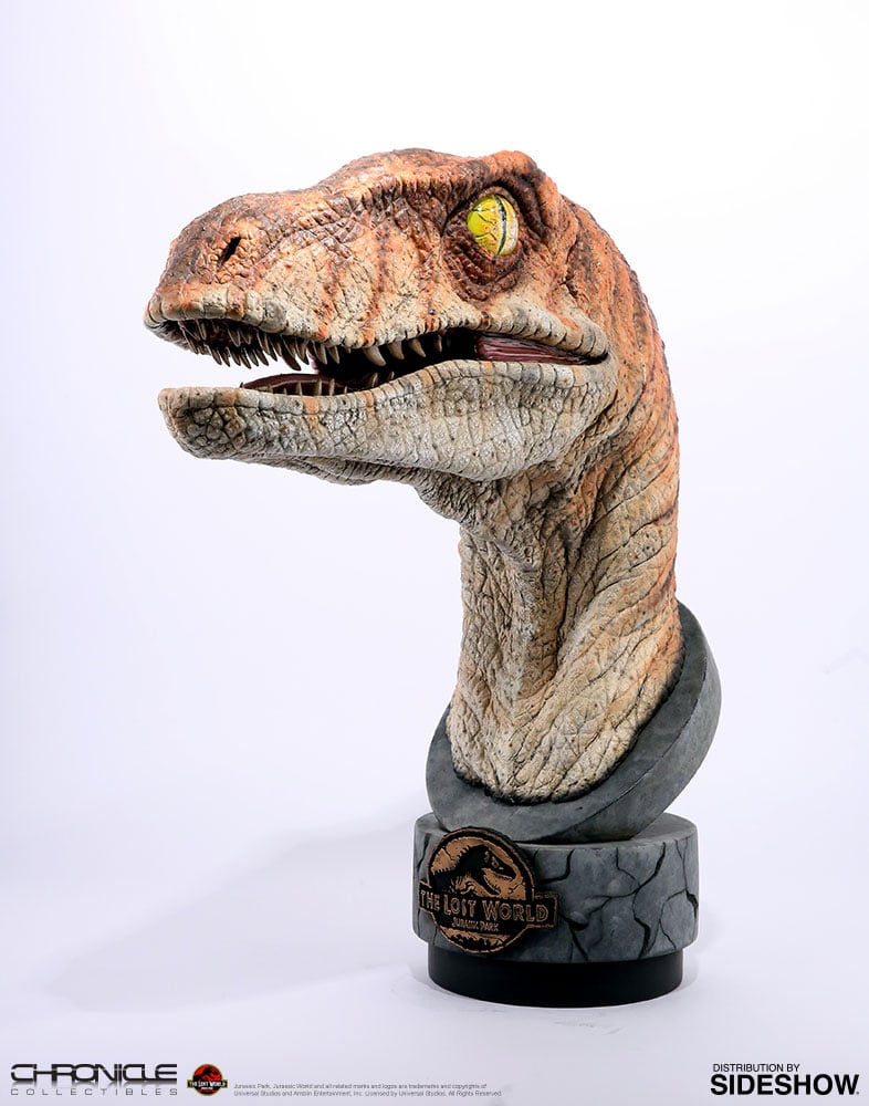 Male Raptor