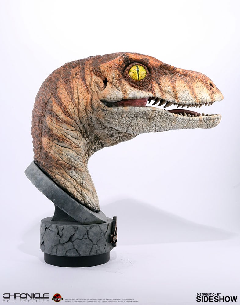 11498-male-raptor-1.jpg
