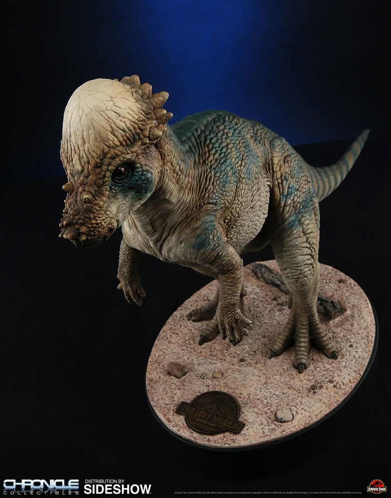 11499-pachycephalosaurus-1.jpg