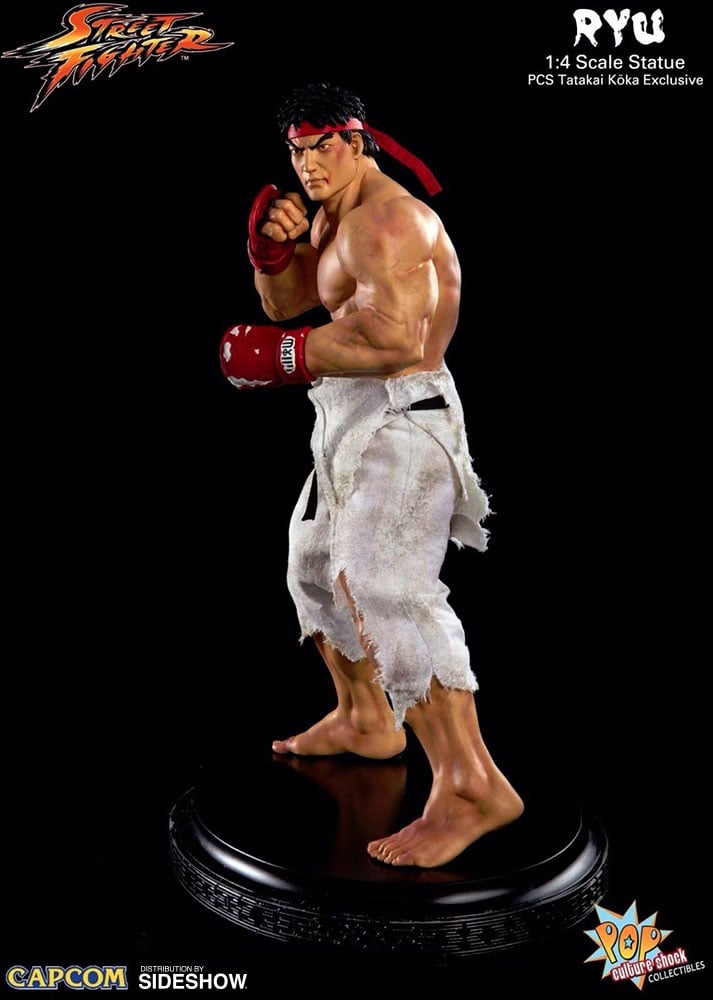 Ryu Tatakai Koka