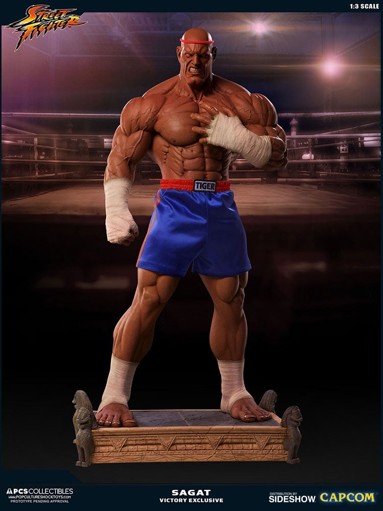 Sagat Victory 1 11595-sagat-victory-1.jpg