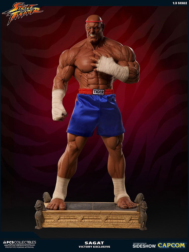 11595-sagat-victory-1.jpg