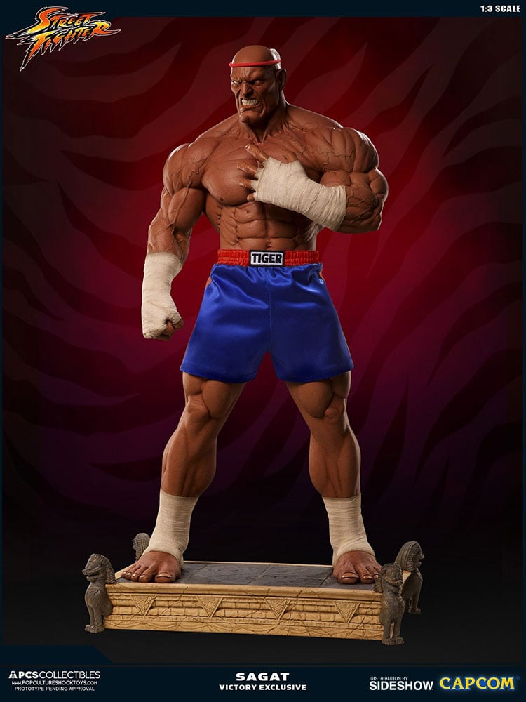 11595-sagat-victory-1.jpg