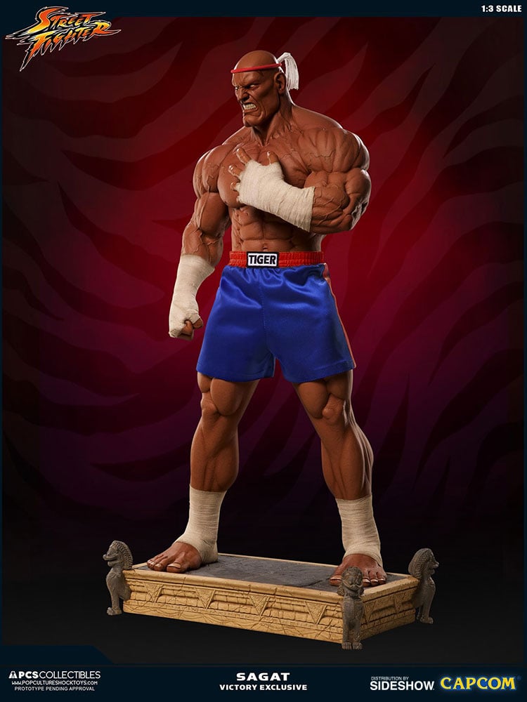 11595-sagat-victory-1.jpg