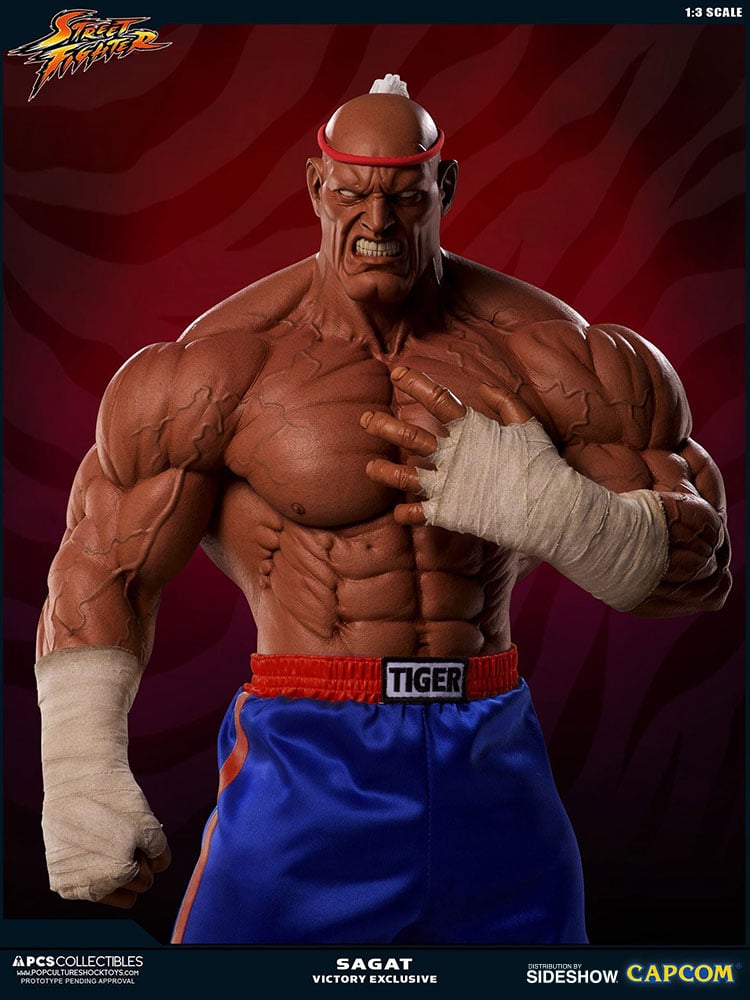 11595-sagat-victory-1.jpg