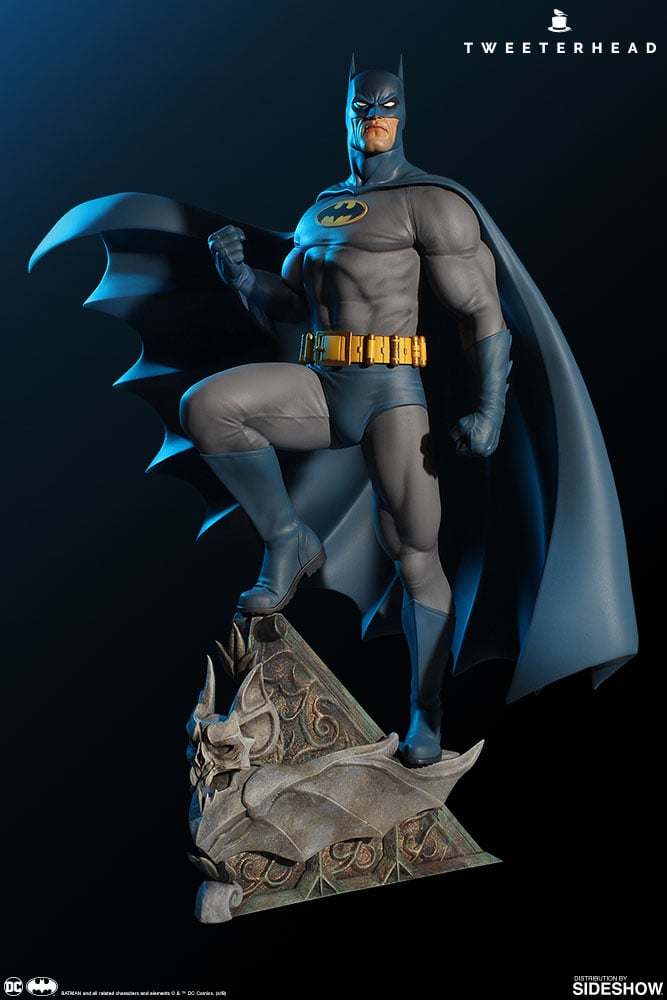 11647-super-powers-batman-1.jpg