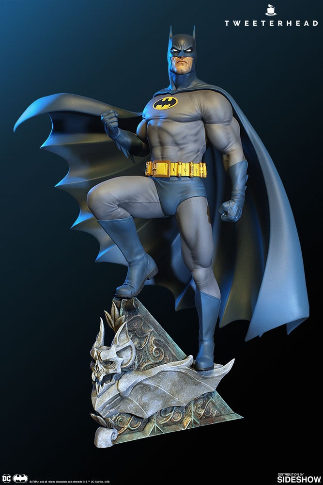 11647-super-powers-batman-1.jpg