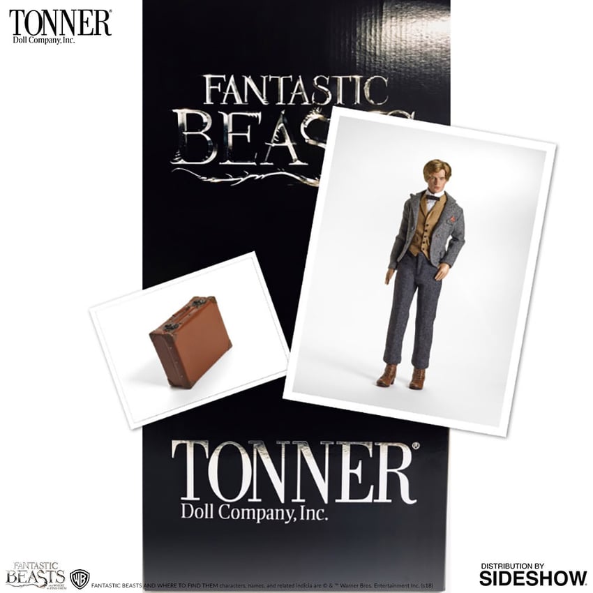 11851-newt-scamander-1.jpg