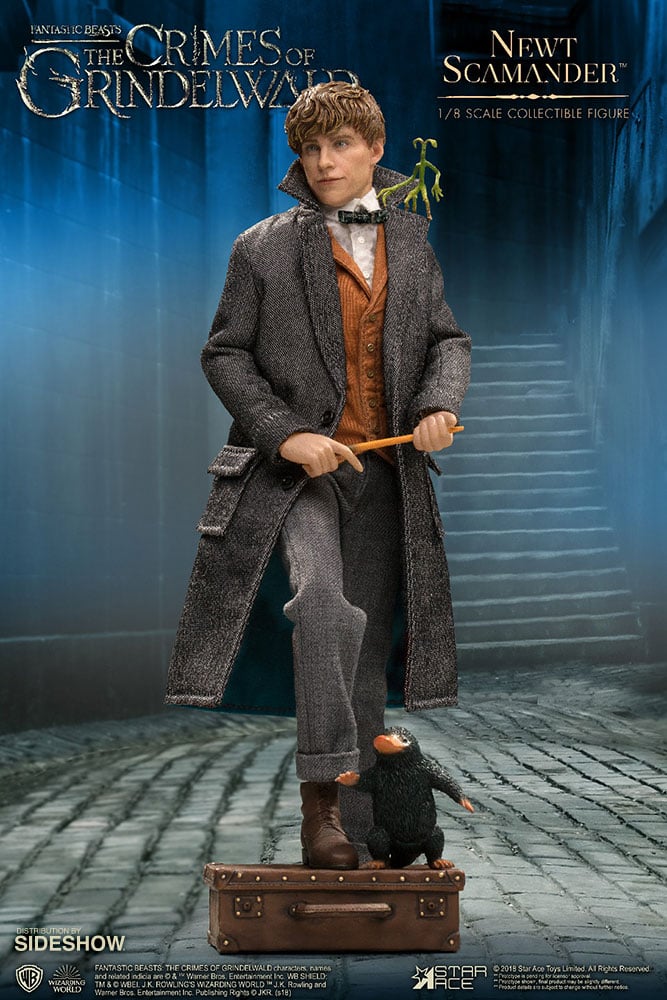 11983-newt-scamander-1.jpg