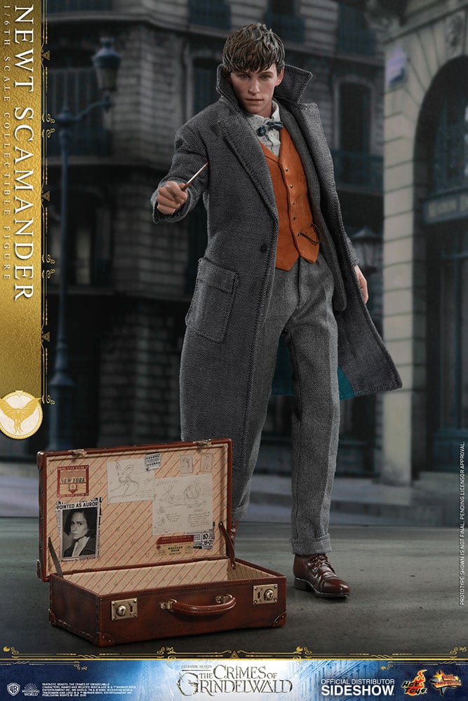 Newt Scamander