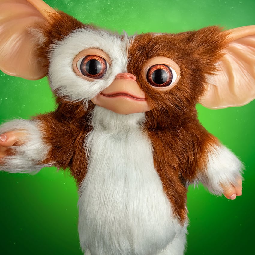 Gizmo Mogwai 1 1309-gizmo-mogwai-1.jpg