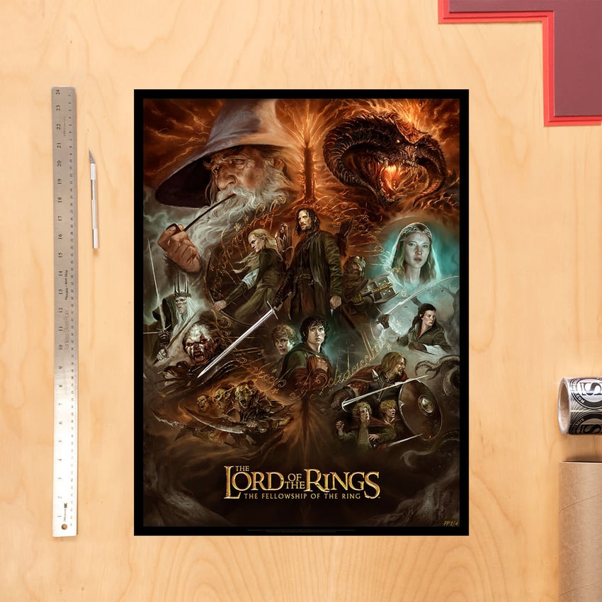 The Lord of the Rings: The Fellowship of the Ring