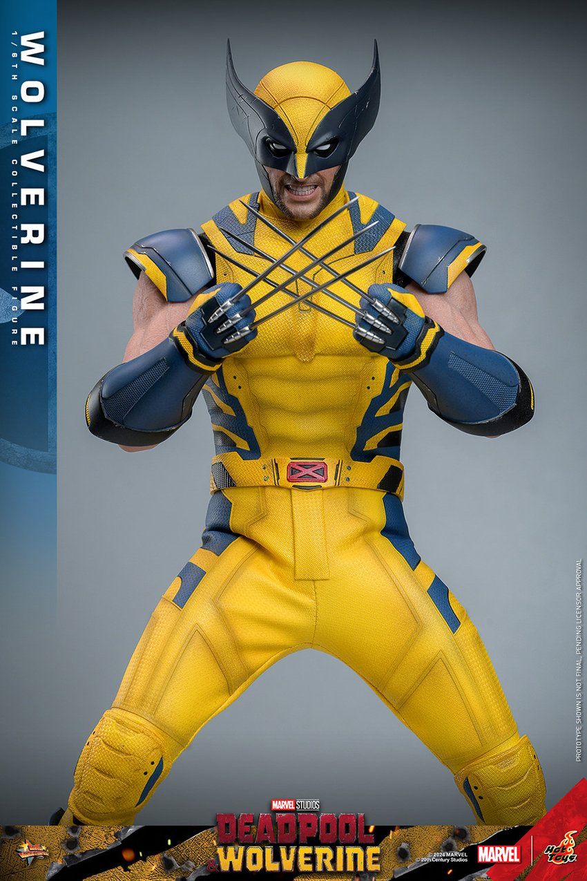 1506-wolverine-1.jpg