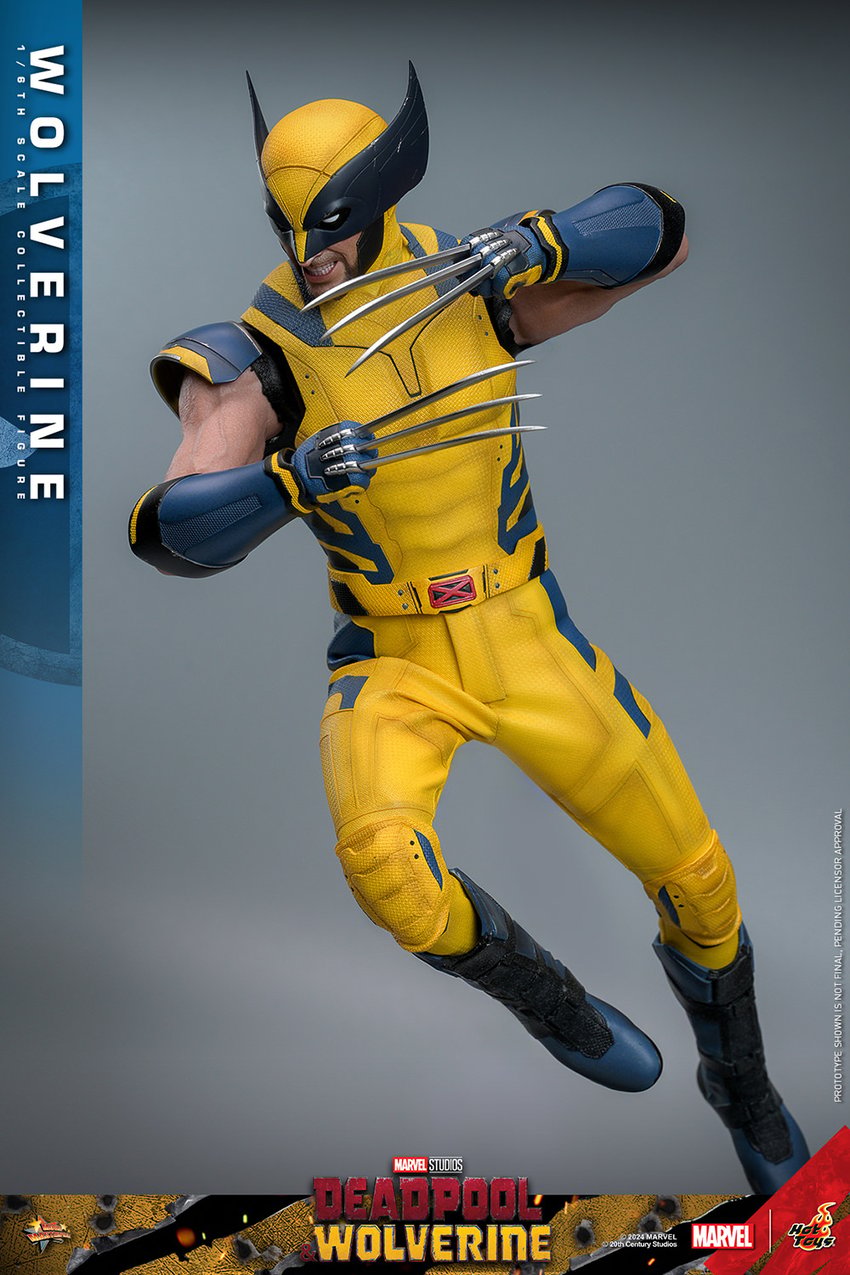 1506-wolverine-1.jpg