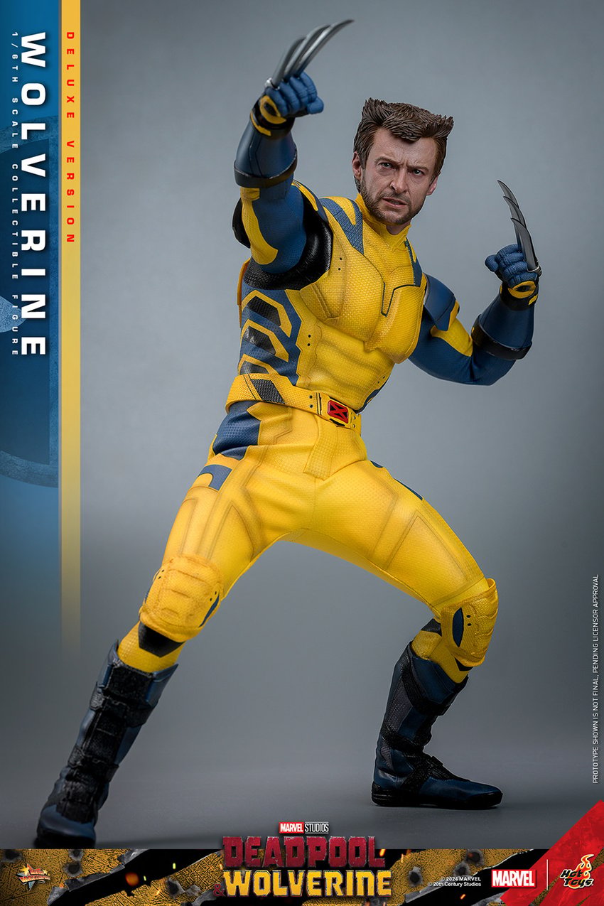 1506-wolverine-1.jpg
