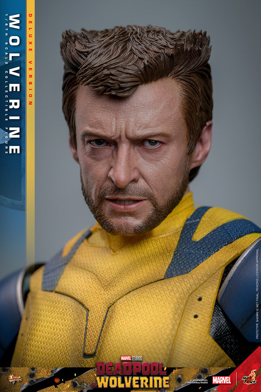 1506-wolverine-1.jpg