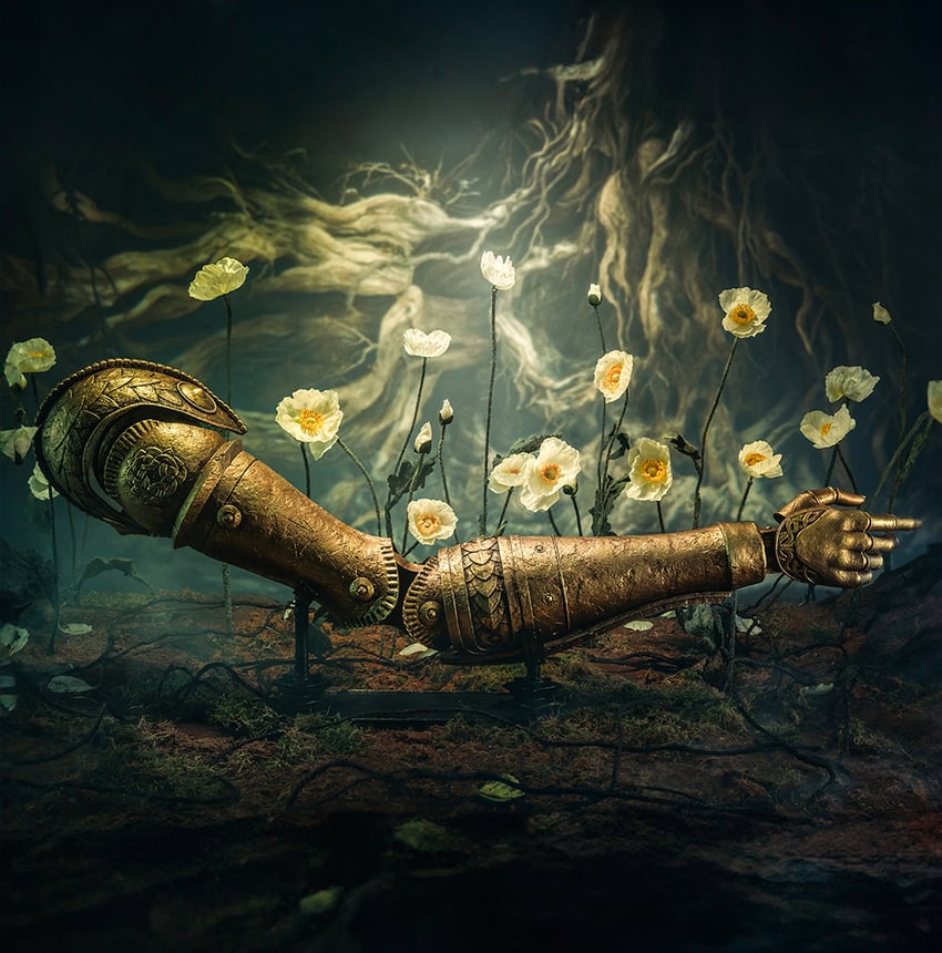 Arm of Malenia