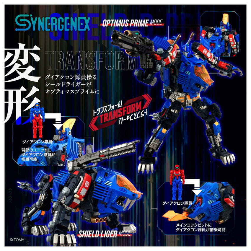176-shield-d-prime-1.jpg