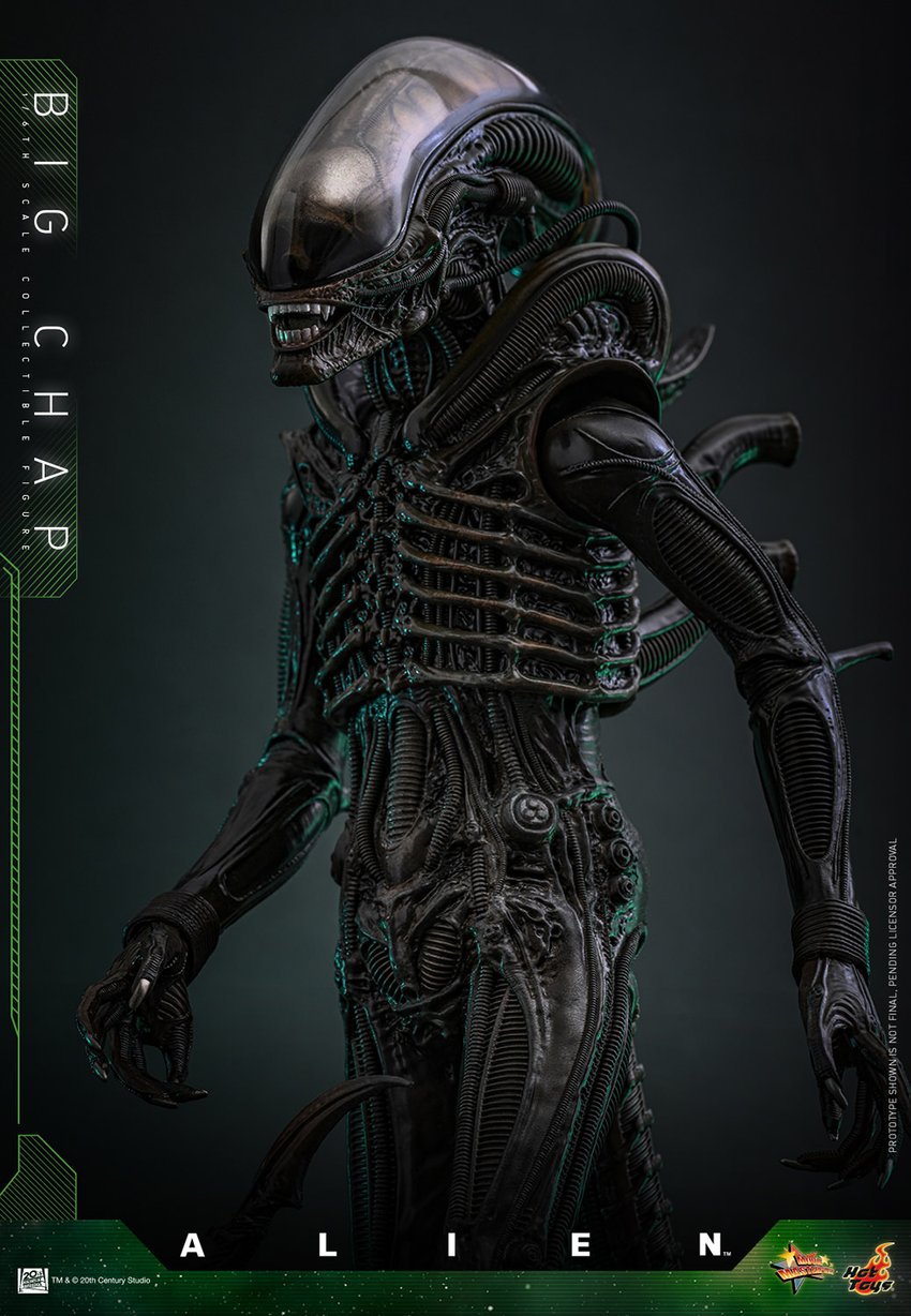 18-big-chap-1.jpg