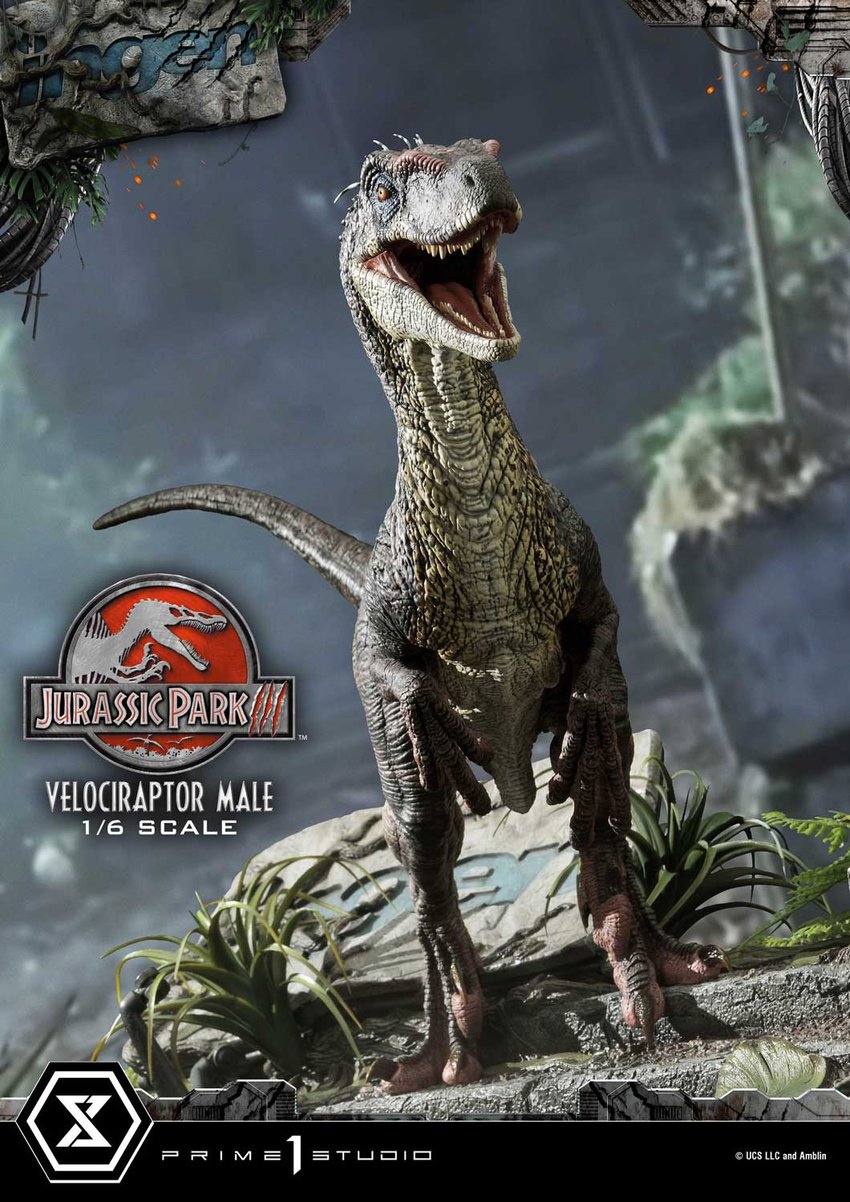 1943-velociraptor-male-1.jpg