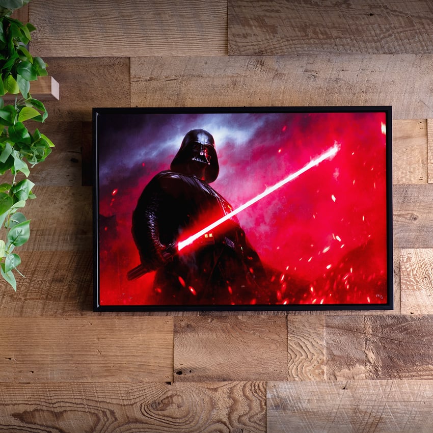 Darth Vader?: Dark Lord of the Sith?