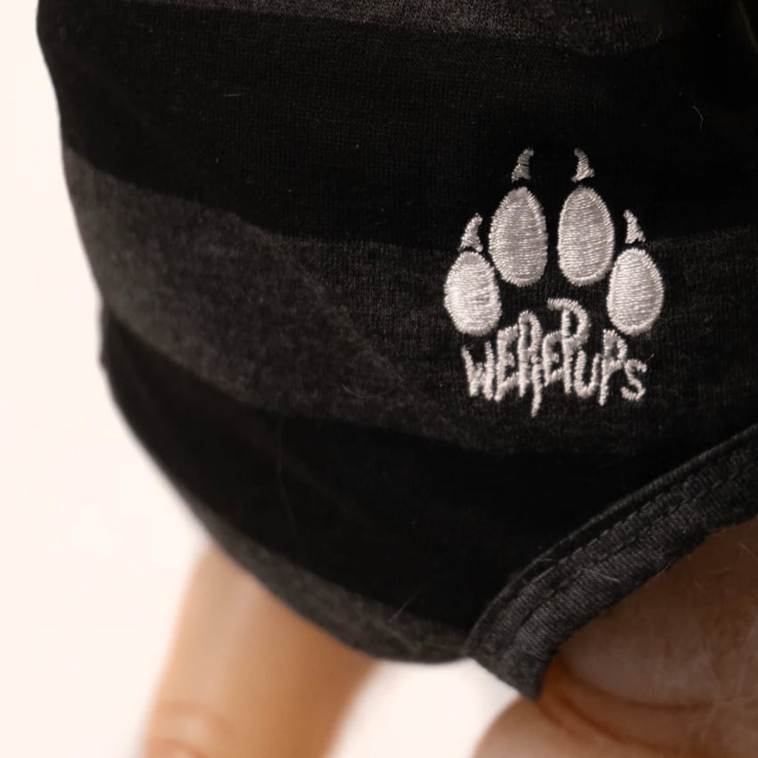 2230-werepup-toby-1.jpg